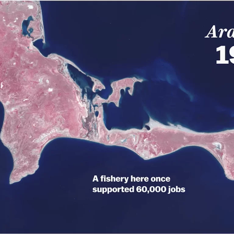 Screen shot of video from Vox featuring time-lapse of human global footprint.