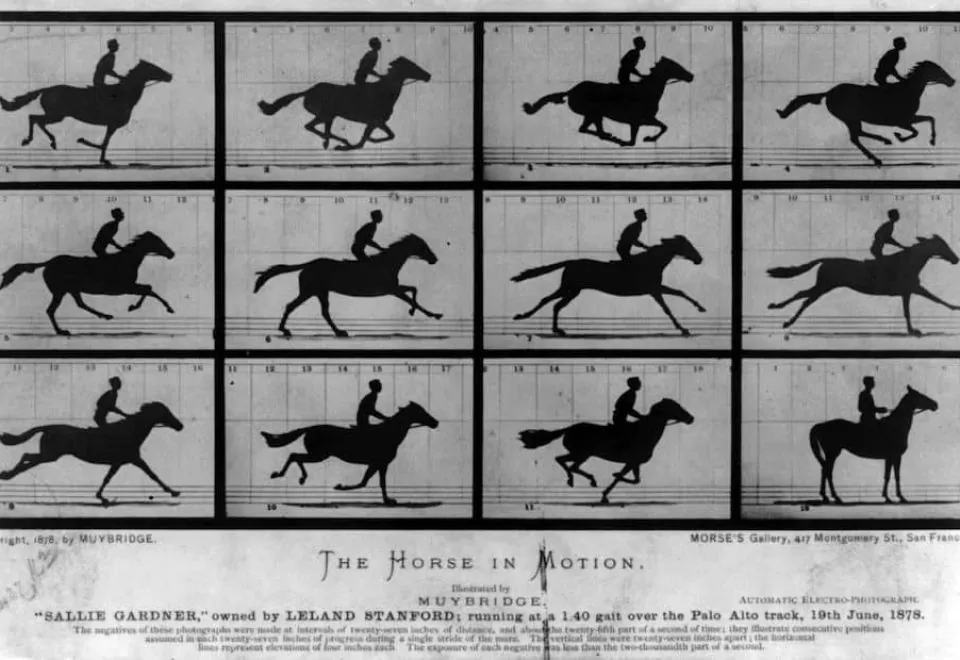 Stills of Eadweard Muybridge's 'Horse in Motion'