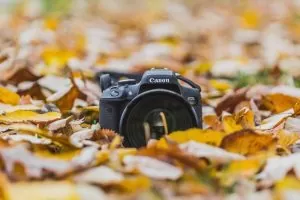 A DSLR camera sitting on a bed of autumn leaves.