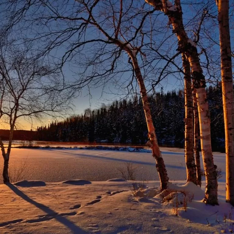 Sun rises over a snowy lake behind trees