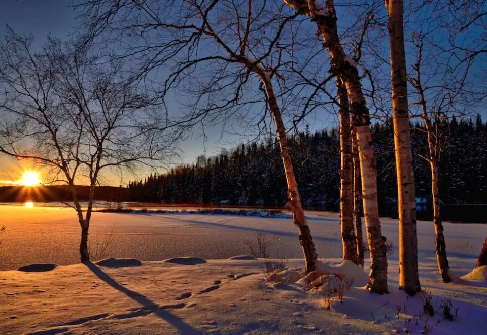 Sun rises over a snowy lake behind trees