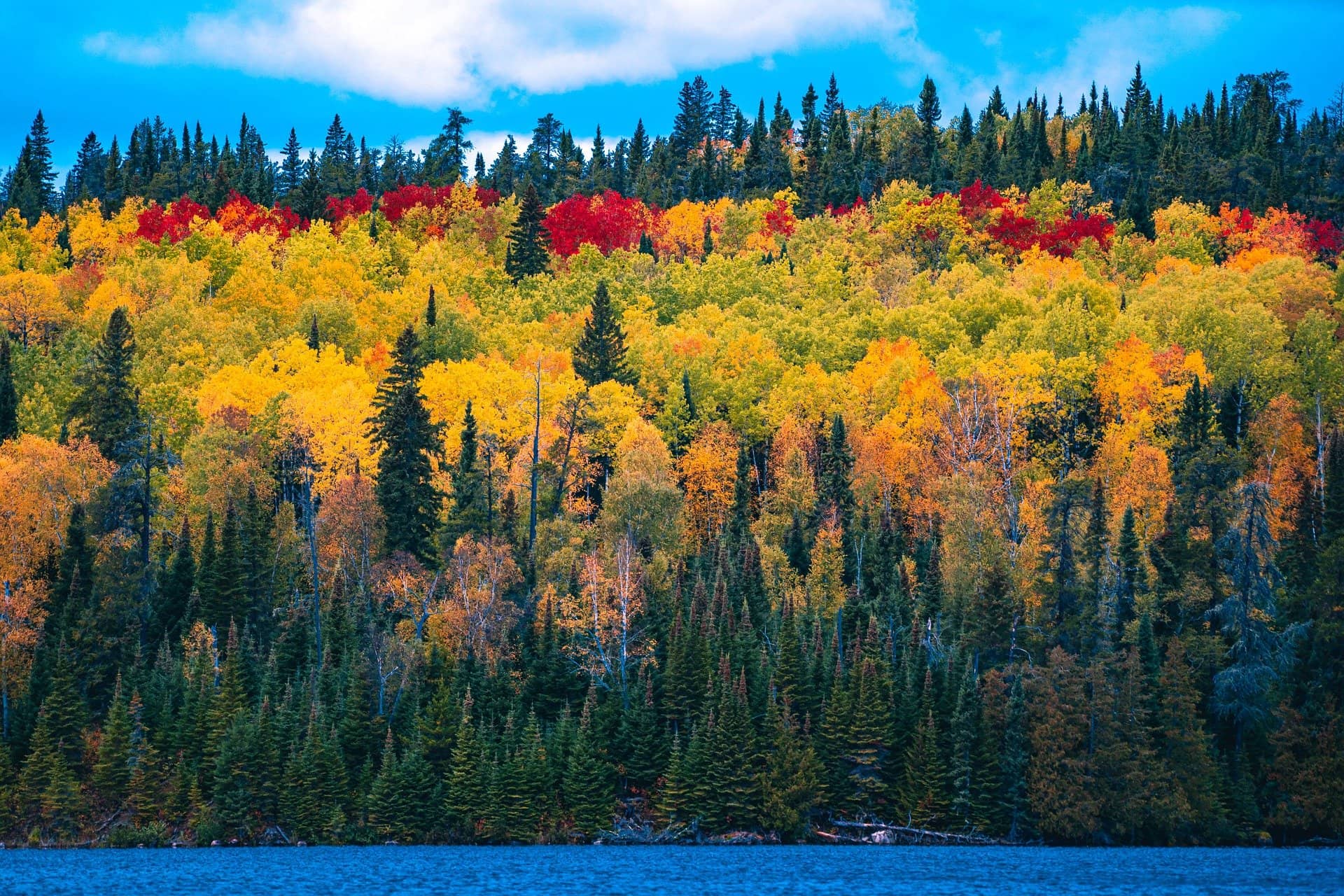 How Autumn is captured through time-lapse