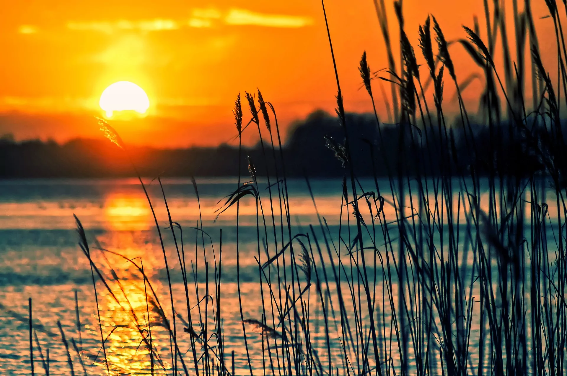 A beautiful image of the sun setting, a lake and long grass in the forefront of the shot help set the tone of this tranquil scene. The light of the sun shimmers on the waves of the water reflecting the rich orange tones of the light. Time-lapse of sunrises and sunsets.