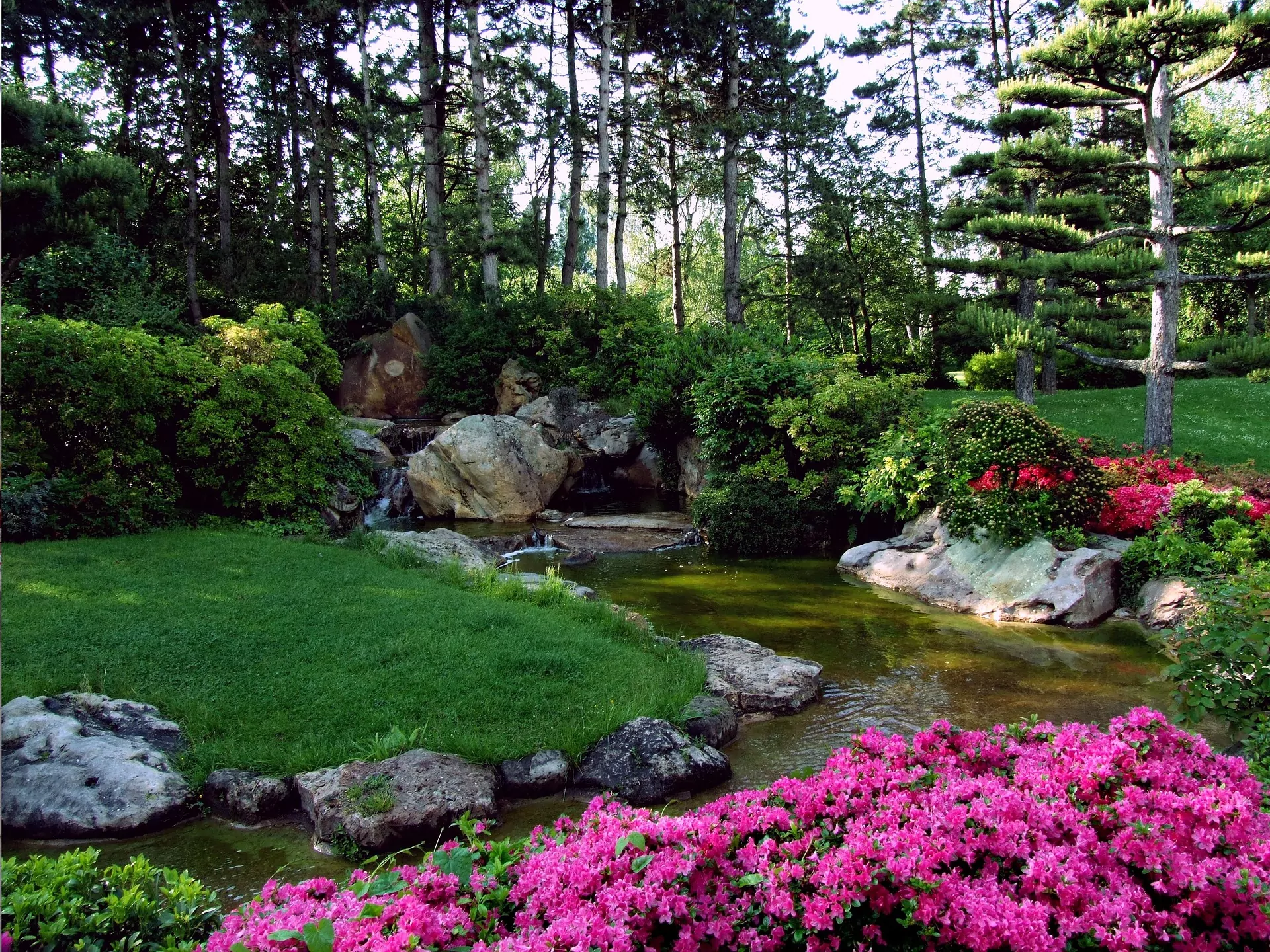 A small waterfall flows into an ornamental pond. Bright pink azalea bushes and large ornamental stones create a border around the grass banks leading to the pond. The Time-Lapse of Landscape Design.