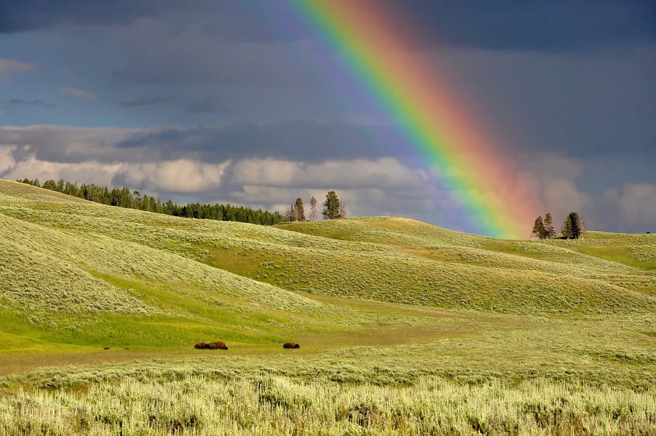 An image of a rainbow arching over a grassy meadow. Time-Lapse Systems.
