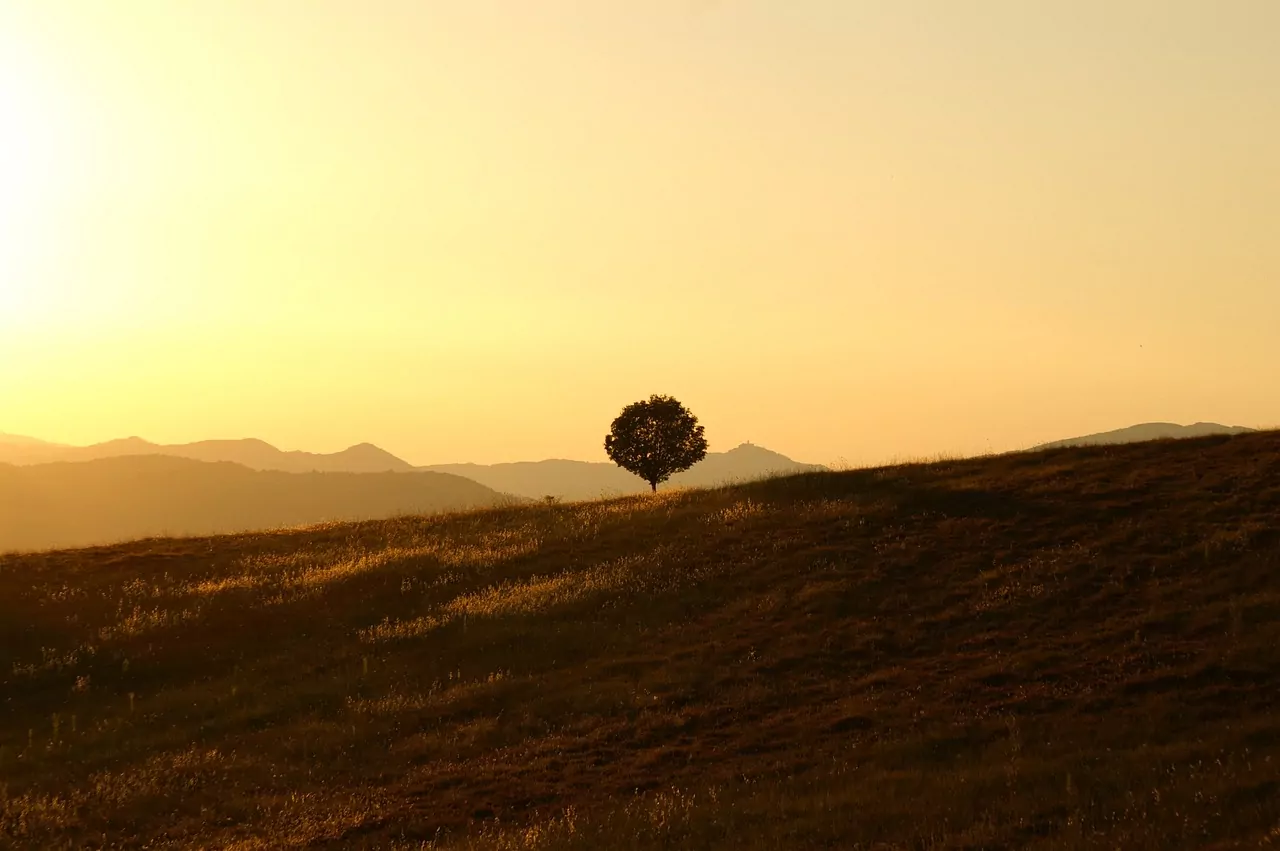 A sunset image of hills and a lone tree in the distance. Time-lapse of hikes and walks.